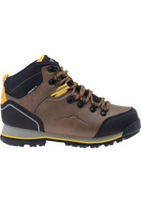 Buty trekkingowe dziecięce Elbrus Taner Mid Wp Teen. Kolor: czarny, brązowy, wielokolorowy