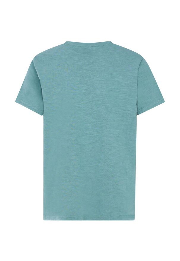 Protest - T-Shirt chłopięcy junior PROTEST PRTPeter. Kolor: wielokolorowy, niebieski, zielony
