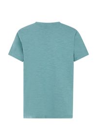 Protest - T-Shirt chłopięcy junior PROTEST PRTPeter. Kolor: wielokolorowy, niebieski, zielony. Sport: turystyka piesza #2