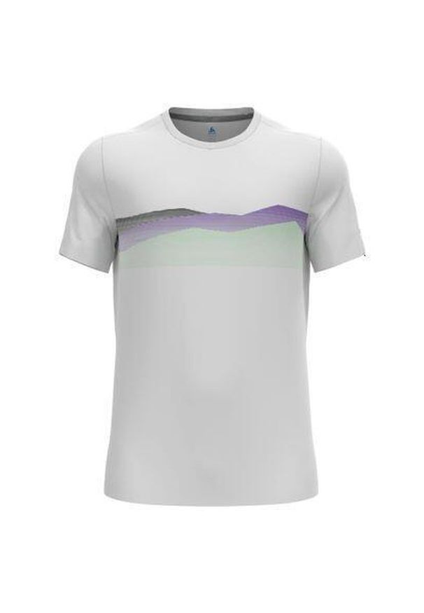 Koszulka męska z krótkim rękawem Odlo F-DRY RIDGELINE T-shirt. Kolor: biały. Długość rękawa: krótki rękaw. Długość: krótkie. Sport: turystyka piesza