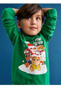 Sinsay - Bluza PAW Patrol - green spruce. Materiał: bawełna. Wzór: nadruk
