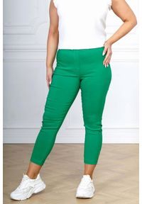 Nasi partnerzy - Zielone spodnie chinosy Nina z zamkami 7/8 PLUS SIZE XXL WIOSNA. Okazja: na co dzień, na spacer, do pracy. Kolekcja: plus size. Kolor: zielony. Materiał: wiskoza, materiał, elastan, tkanina, włókno, poliester. Długość: krótkie. Sezon: wiosna. Styl: casual #1