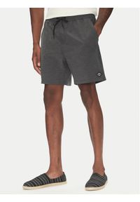 Billabong Szorty kąpielowe Every Other Day Lb EBYJV00145 Szary Regular Fit. Kolor: szary. Materiał: syntetyk