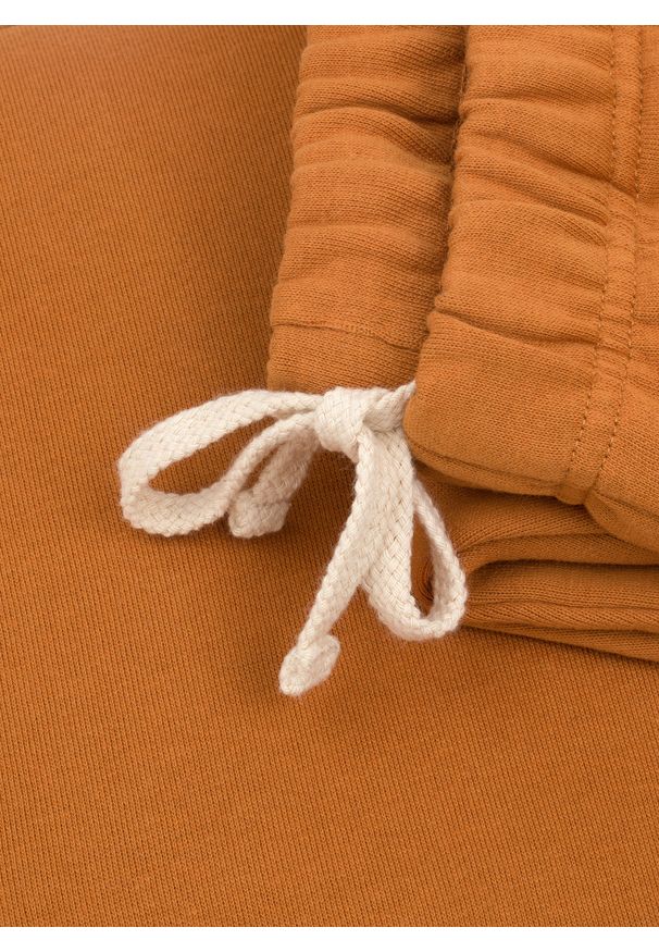 Pako Lorente - Spodnie dresowe pomarańczowe C22WF-WD-001-A-0. Okazja: na co dzień. Kolor: pomarańczowy. Materiał: dresówka. Styl: casual