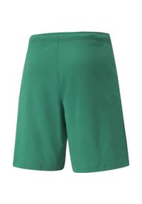 Szorty Puma teamRISE. Kolor: zielony, biały, wielokolorowy. Długość: krótkie. Sport: fitness, piłka nożna