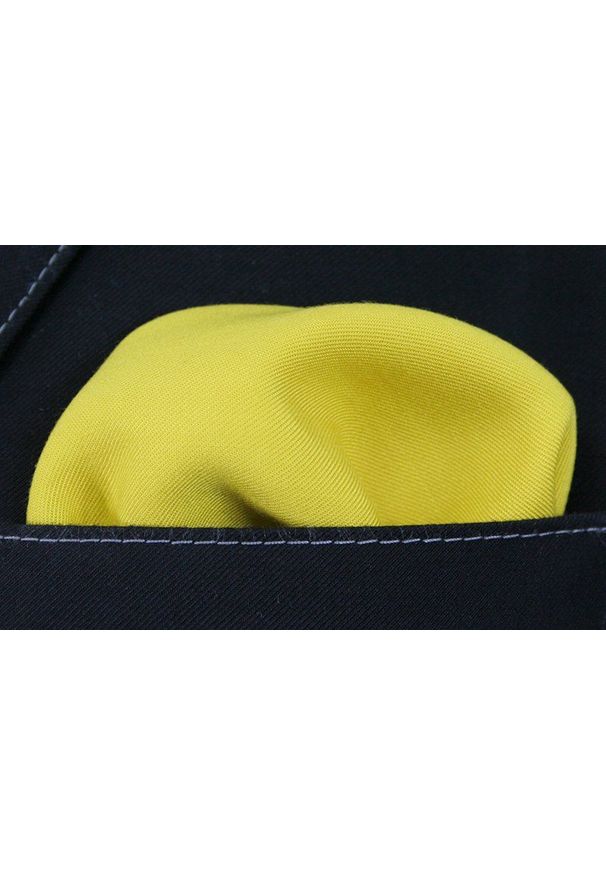 Poszetka EM Men's Accessories