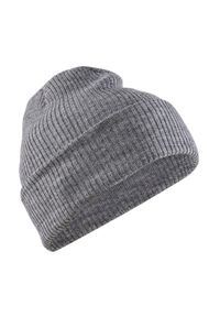 Czapka Craft core rib knit. Kolor: szary. Materiał: dzianina, prążkowany. Styl: retro, sportowy #1