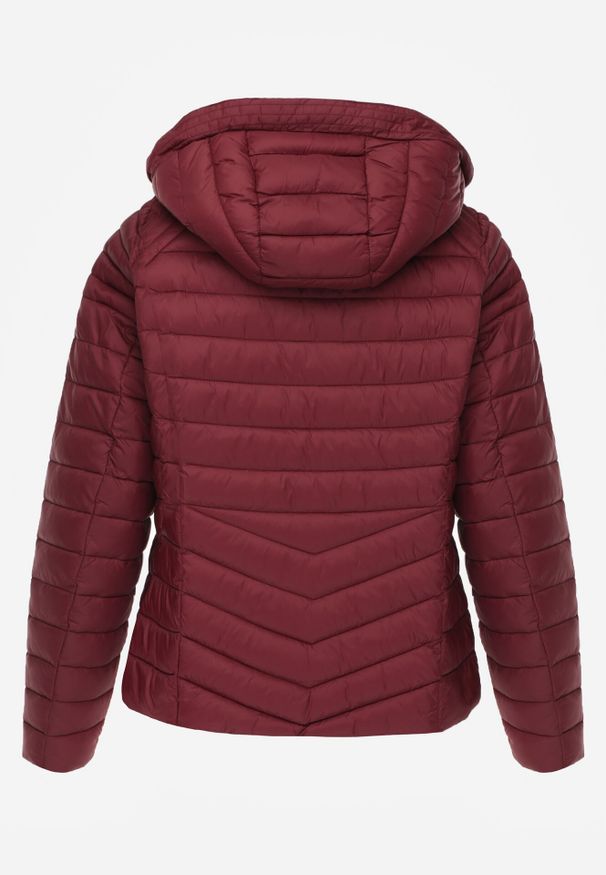 Born2be - Bordowa Klasyczna Kurtka Przejściowa z Pikowaniem i Odpinanym Kapturem Pretiella. Okazja: na co dzień, na spacer. Kolor: czerwony. Materiał: jeans, nylon. Styl: klasyczny