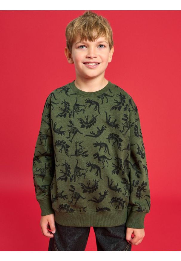 Sinsay - Bluza ze wzorkiem - khaki. Kolor: brązowy