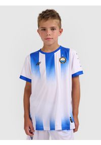 4f - 4F Koszulka klubowa domowa z sezonu 2025/26 dziecięca 4F x Stal Mielec - biała 110/116. Okazja: do domu. Kolor: biały. Materiał: włókno, dzianina. Wzór: gradientowy. Sezon: lato. Styl: młodzieżowy