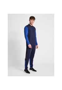 Bluza dresowa 1/2 zip Hummel Pro Grid. Kolor: niebieski. Materiał: dresówka. Sport: piłka ręczna #1