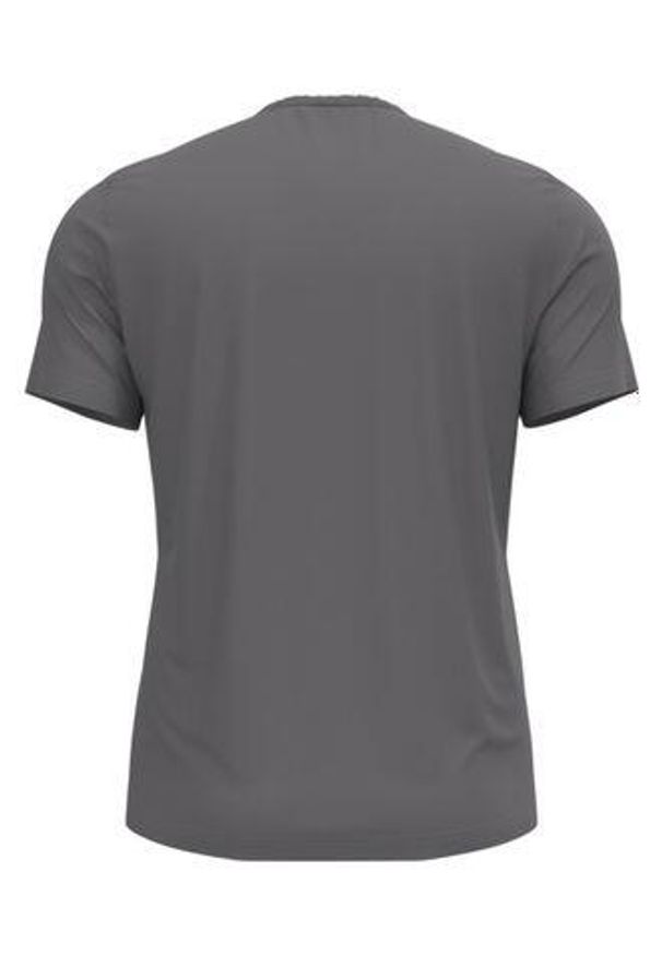 Koszulka z krótkim rękawem trekkingowa męska Odlo T-shirt F-DRY. Kolor: szary. Długość rękawa: krótki rękaw. Długość: krótkie. Sport: turystyka piesza