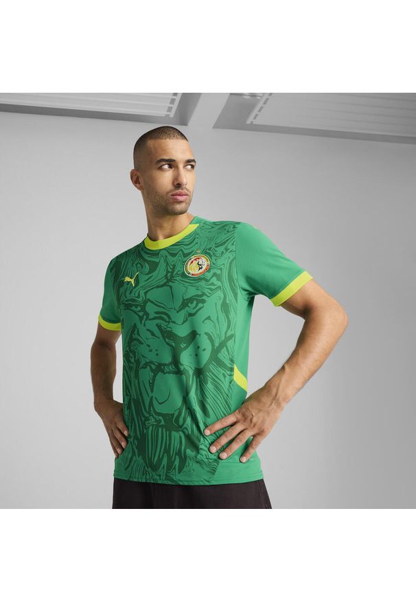 Puma - Męska koszulka wyjazdowa Senegal 2025 PUMA Sport Green Electric Lime. Kolor: zielony. Wzór: aplikacja. Sport: piłka nożna