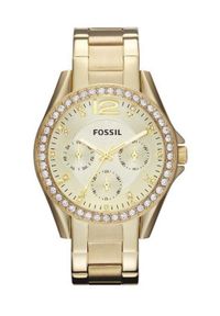 Fossil - FOSSIL - Zegarek ES3203. Kolor: złoty. Materiał: materiał #1