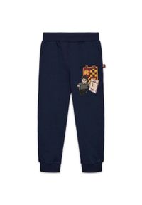 Spodnie Dizecięce Bio Bawełna LEGO Harry Potter Philo 702 Granatowe. Kolor: niebieski. Materiał: bawełna. Sezon: lato. Sport: turystyka piesza #1
