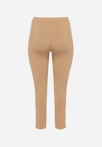 Born2be - Beżowe Spodnie Dresowe z Ozdobą z Boku Rialane. Okazja: na co dzień. Kolekcja: plus size. Kolor: beżowy. Materiał: dresówka. Wzór: aplikacja. Styl: casual, elegancki
