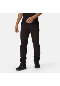 Regatta - Męskie spodnie trekkingowe Highton. Kolor: czarny. Materiał: elastan, poliamid #1