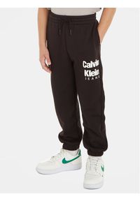 Calvin Klein Jeans Spodnie dresowe IB0IB01816 Czarny Regular Fit. Kolor: czarny. Materiał: bawełna