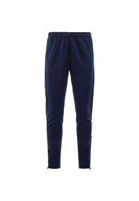 Spodnie dresowe dla dzieci Kappa Darente. Kolor: niebieski. Materiał: dresówka. Sport: piłka nożna #1
