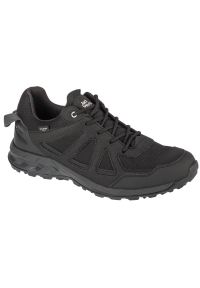 Buty Jack Wolfskin Woodland 2 Texapore Low M 4051271-6000 czarne. Zapięcie: sznurówki. Kolor: czarny. Materiał: guma, syntetyk, tkanina #2