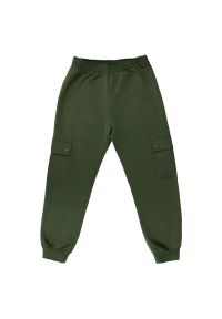 Spodnie Champion Rib Cuff 117499-GS508 - zielone. Kolor: zielony. Materiał: poliester, bawełna, dresówka. Wzór: haft #1