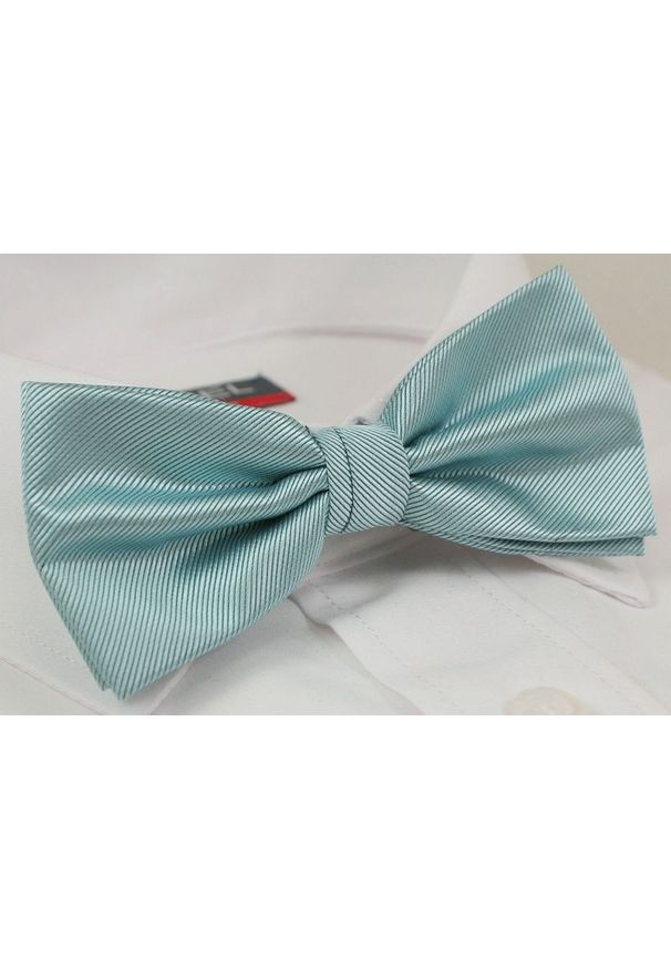 Zielona muszka Alties elegancka