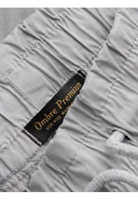 Ombre Clothing - Spodnie męskie materiałowe JOGGERY z ozdobnym sznurkiem - jasnoszare V2 P908 - XXL. Kolor: szary. Materiał: materiał #6