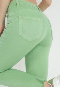Born2be - Jasnozielone Spodnie Skinny Nyryore. Kolor: zielony. Styl: elegancki #5
