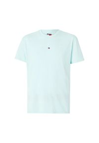 Tommy Jeans T-Shirt Linear Logo DM0DM20744 Zielony Regular Fit. Kolor: zielony. Materiał: bawełna