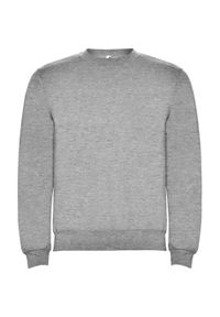 ROLY - Bluza Dziecięca Clasica Z Okrągłym Dekoltem. Kolor: szary