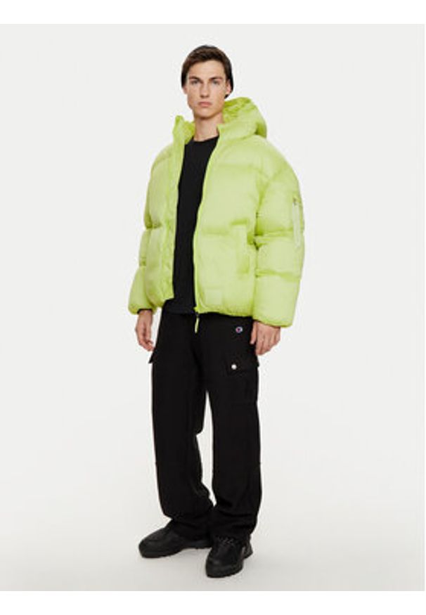 Alpha Industries Kurtka zimowa 148130 Zielony Regular Fit. Kolor: zielony. Materiał: syntetyk. Sezon: zima