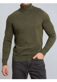 Sinsay - Klasyczny golf - zielony. Typ kołnierza: golf. Kolor: zielony. Styl: klasyczny