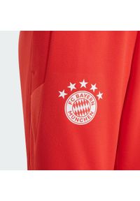 Adidas - Spodnie FC Bayern Tiro 23 Training Kids. Kolor: biały, czerwony, wielokolorowy. Materiał: dresówka, materiał