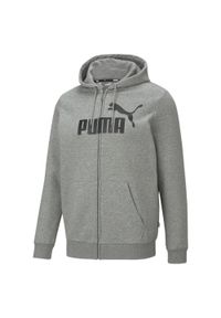 Bluza z kapturem Puma Essentials Big Logo, Mężczyźni. Typ kołnierza: kaptur. Kolor: szary. Materiał: materiał, poliester, bawełna #1