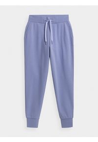 4f - Spodnie dresowe joggery damskie. Kolor: niebieski. Materiał: dresówka