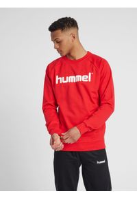 Bluza do piłki ręcznej męska Hummel Cotton Logo. Kolor: czerwony, wielokolorowy, różowy. Materiał: bawełna