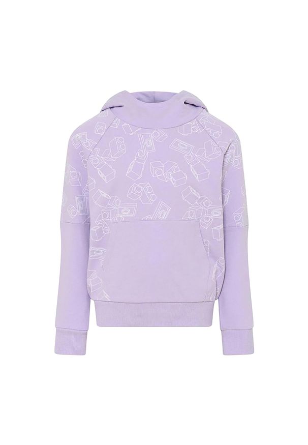 LEGO Wear - Bluza trekkingowa dziecięca LEGO Lwstorm 214. Kolor: fioletowy