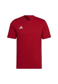 Koszulka Adidas Sport Ent22 Dorosłych. Kolor: czerwony. Materiał: bawełna