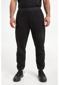Emporio Armani - Spodnie dresowe męskie EMPORIO ARMANI. Materiał: dresówka