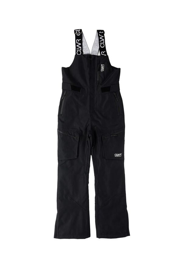 Spodnie narciarskie damskie Colourwear Slash Bib. Kolor: czarny. Sport: narciarstwo