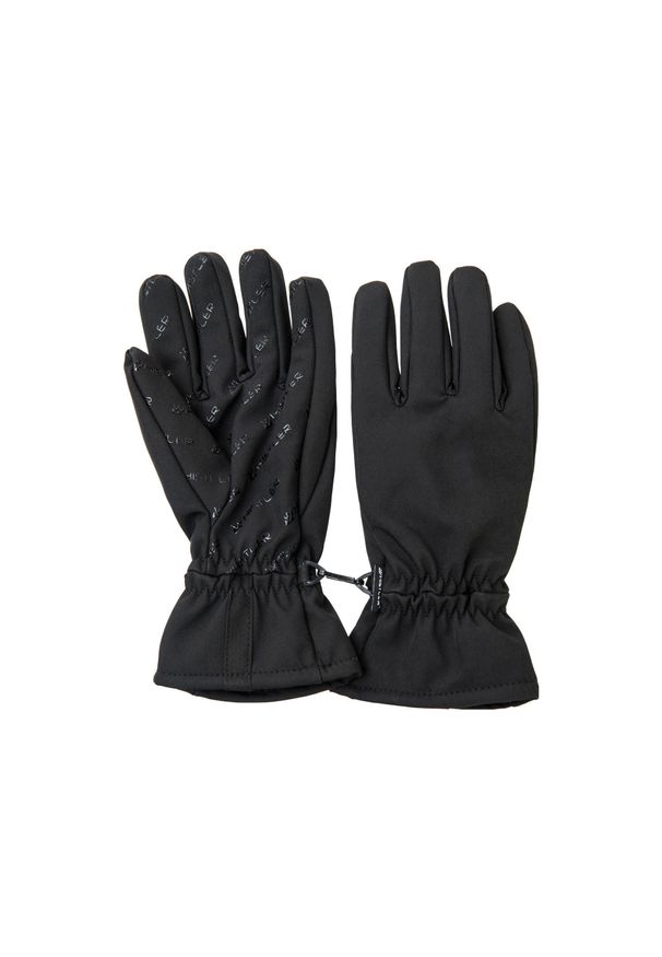 Rękawice Whistler Basil. Kolor: czarny. Sezon: zima. Sport: narciarstwo