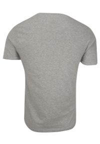 T-Shirt Szary Bawełniany Męski Bez Nadruku -Brave Soul- Koszulka, Krótki Rękaw, Basic. Okazja: na co dzień. Kolor: szary. Materiał: bawełna, wiskoza. Długość rękawa: krótki rękaw. Długość: krótkie. Sezon: wiosna, lato. Styl: casual #2