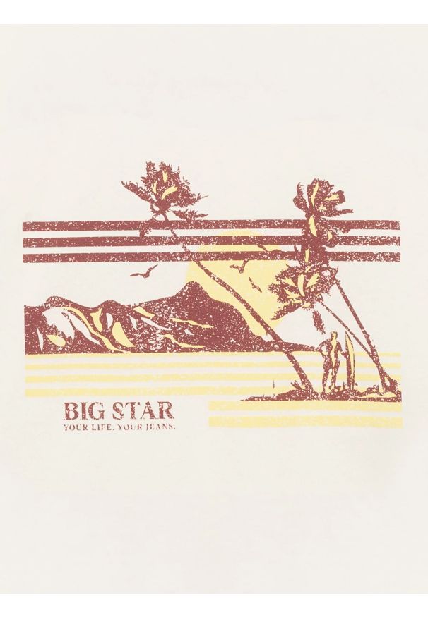 Big-Star - Koszulka męska z nadrukiem biała Regger 100. Kolor: biały. Materiał: bawełna, dzianina. Wzór: nadruk. Sezon: lato. Styl: elegancki, vintage, sportowy