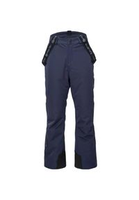 Iguana - Męskie Spodnie Narciarskie Berhoff. Kolor: niebieski, wielokolorowy, zielony. Sezon: zima. Sport: narciarstwo #1