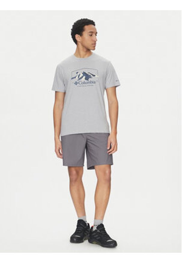 columbia - Columbia T-Shirt Path Lake™ II Graphic 1934814 Szary Regular Fit. Kolor: szary. Materiał: bawełna
