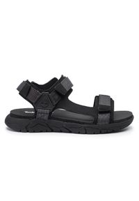 Timberland Sandały Windham Trail Sandal TB0A1V30015 Czarny. Kolor: czarny. Materiał: skóra #1