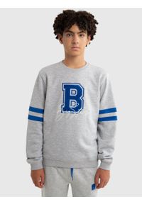 Big-Star - Bluza chłopięca z kontrastową aplikacją szara Letter 901/ Letterp 901. Kolor: szary. Materiał: bawełna. Wzór: aplikacja. Styl: sportowy #5
