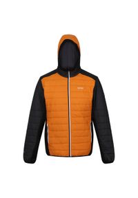 Regatta - Męska Kurtka Trutton II Baffled Padded Jacket. Kolor: pomarańczowy, wielokolorowy, szary