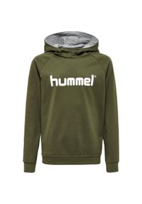 Bluza dziecięca z kapturem Hummel Hmlgo Logo. Typ kołnierza: kaptur. Kolor: brązowy, zielony, szary, wielokolorowy