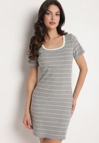Born2be - Jasnoszara Bawełniana Sukienka w Paski o Dopasowanym Kroju Tiamirene. Okazja: na co dzień. Kolor: szary. Materiał: bawełna. Wzór: paski. Typ sukienki: proste. Styl: klasyczny, casual #3